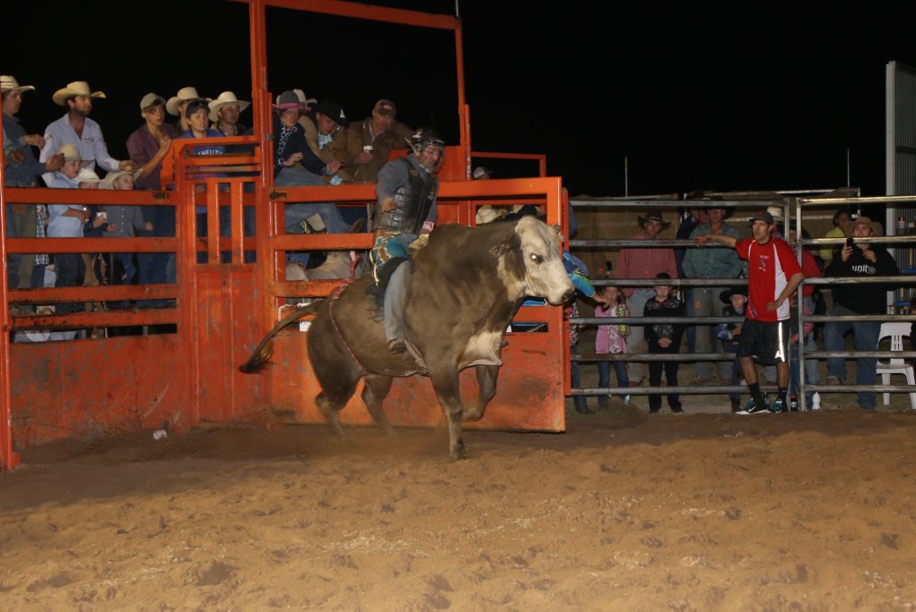 Ben Palmer on the bull Soft Copy in the open bull ride at the Cowboy's Rodeo.